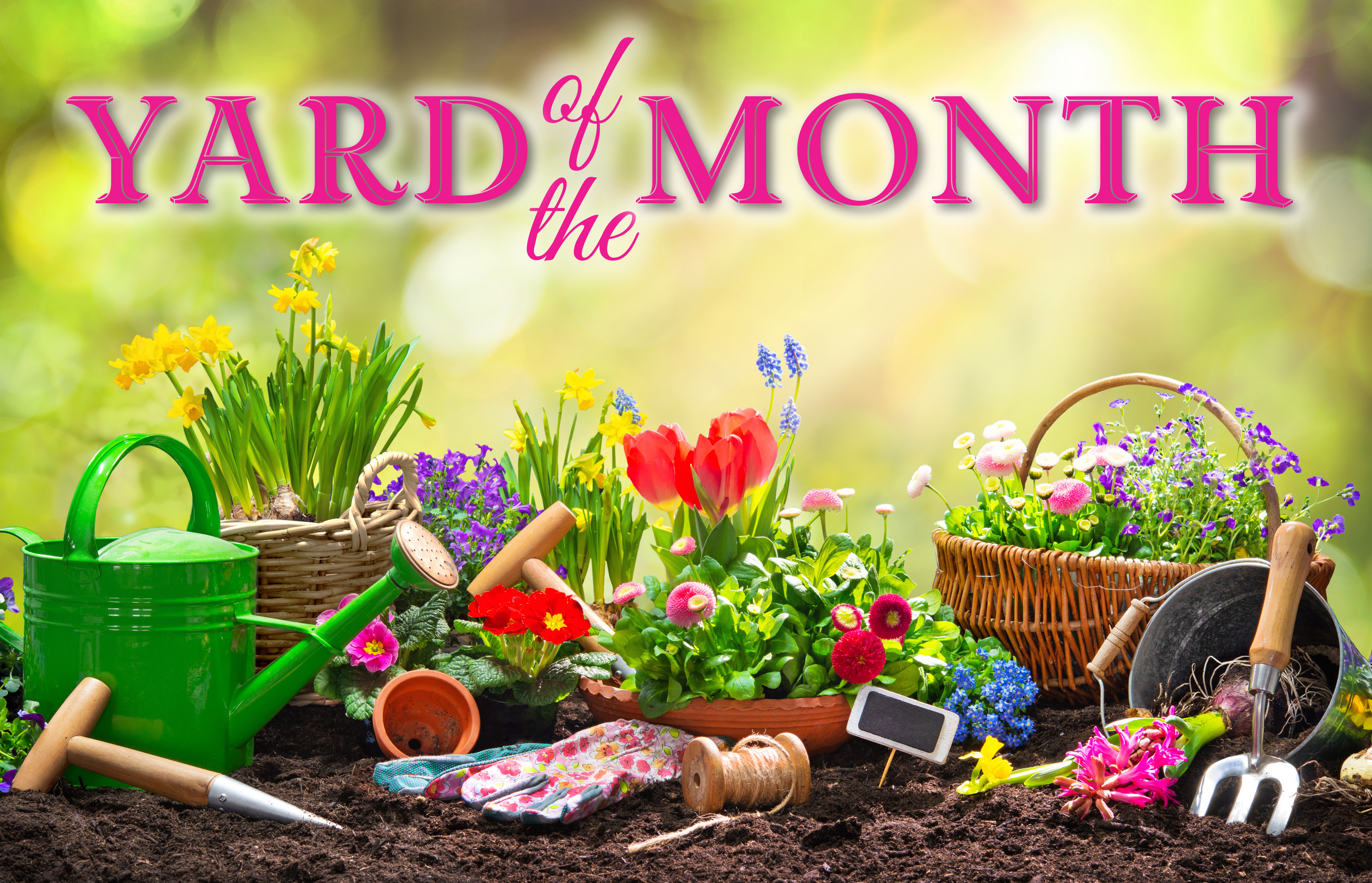 Hearthstone April Yard of the Month