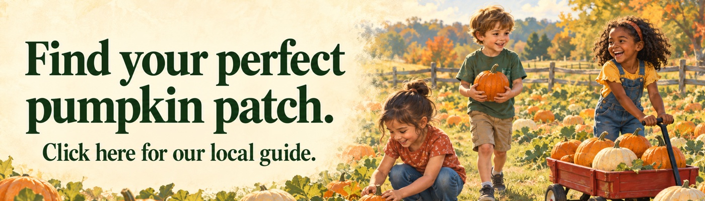 Find your perfect pumpkin patch. Click here for our local guide.