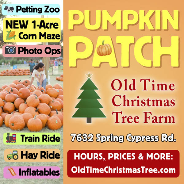 Find out more about Old Time Christmas Tree Farm