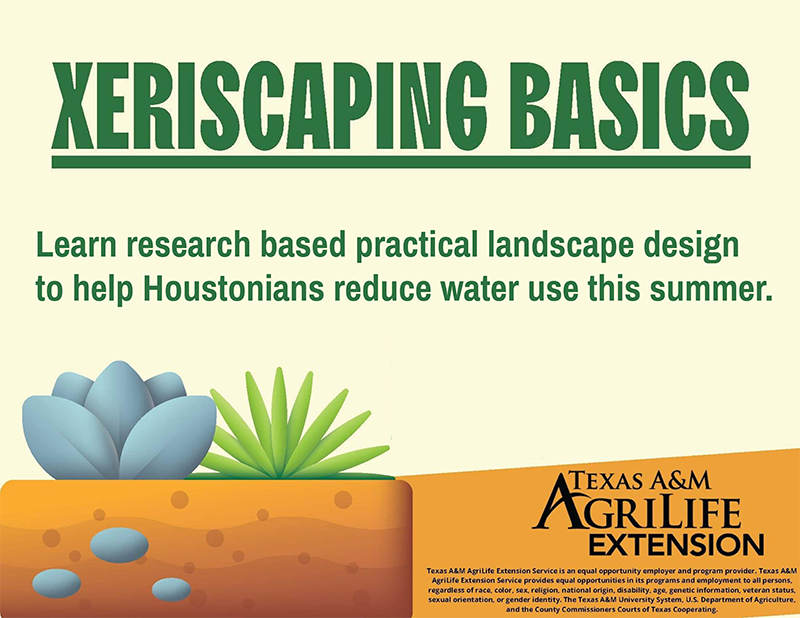Transform Your Garden: Join the Xeriscaping Basics Class for Sustainable Landscaping