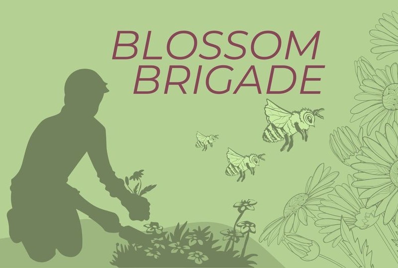 Blossom Brigade North Houston