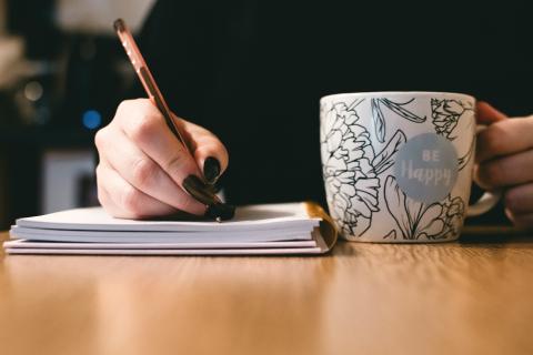 Prose Pros Writing Group