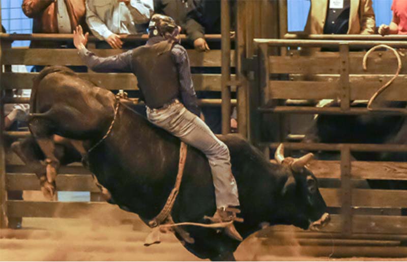 Fort Bend Women's Center's First-Ever Rodeo Nears