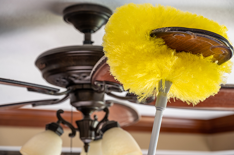 8 Essential Home Maintenance Tasks to Transform Your Home for Spring