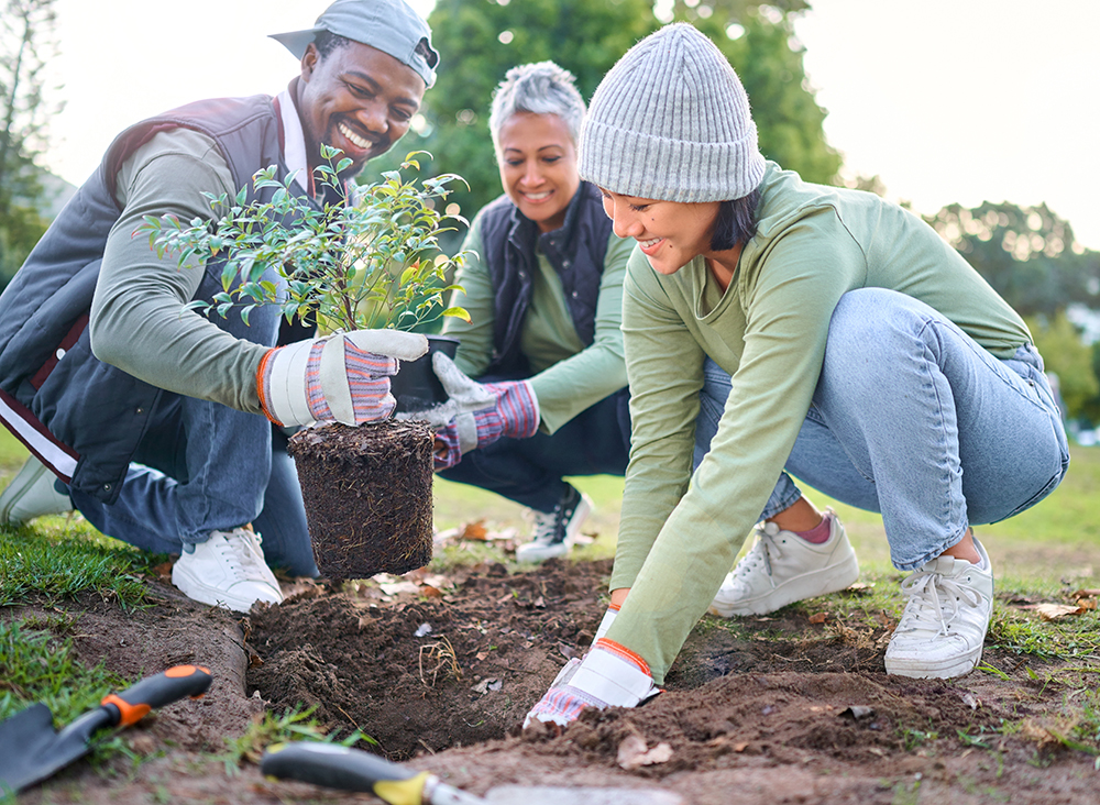 Fort Bend County Invites Community to Adopt-a-Bed Planting Days to Beautify Local Gardens