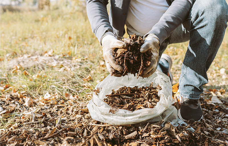 Texas A&M AgriLife Extension Shares 3 Tips for Recycling Fall Leaves