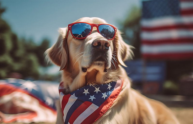 Houston SPCA Offers Tips for Keeping Pets Safe and HappyÂ on the Fourth of July