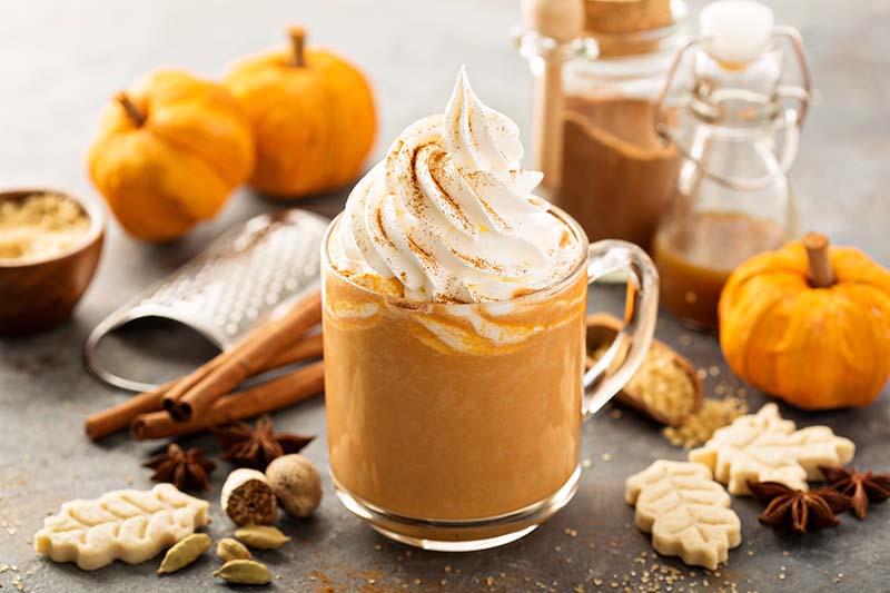 Move Over, Summer: PSL is in the House