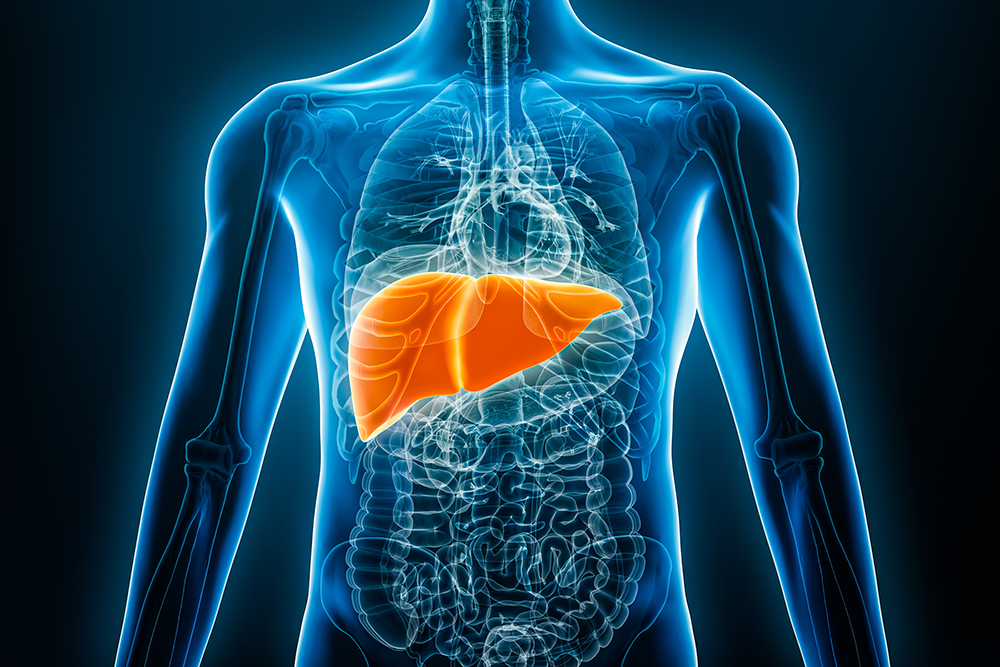 Memorial Hermann Launches Cutting-Edge Liver Tumor Treatment as Hospital System Earns Top U.S. Rankings for 2025-2026