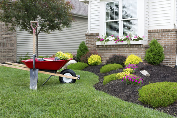 August Landscaping Tidbits