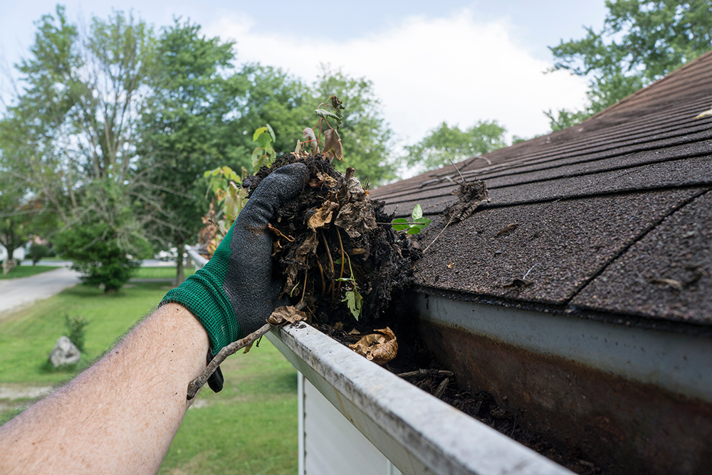 The Hidden Dangers of Clogged Gutters: How Houston Area Homeowners Can Prevent Costly Damage