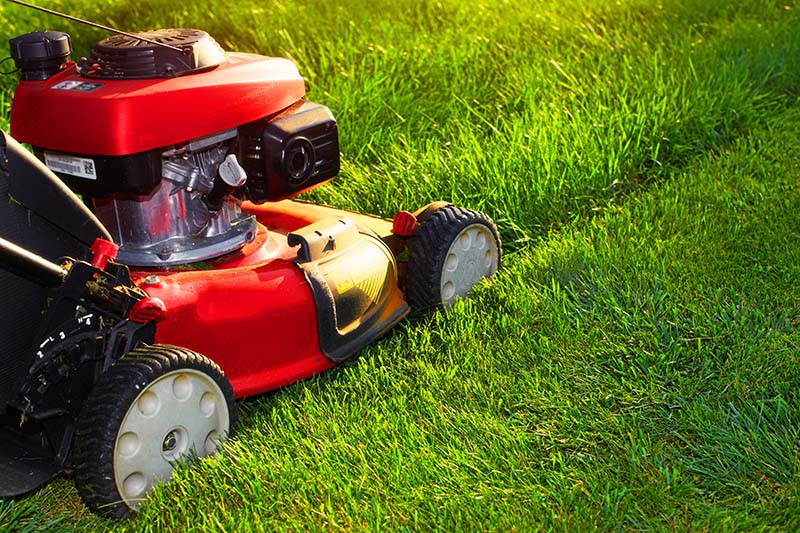 Keep Your Yard in Shape: Yorktown Colony's New Forced Mowing Policy