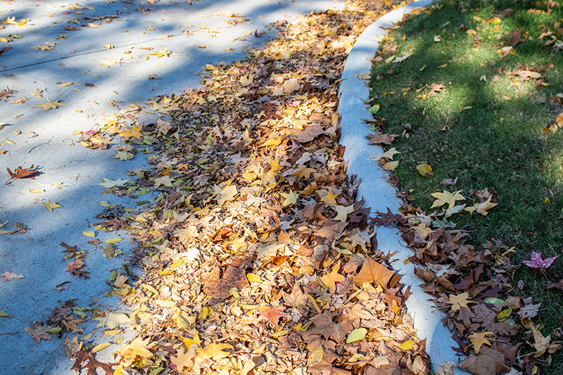 Boosting Harvest Bend's Charm: A Simple Tip for Curb Appeal