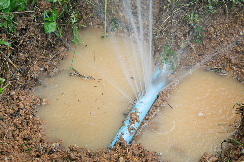 Water Leaks in Bella Terra: Know Who to Call
