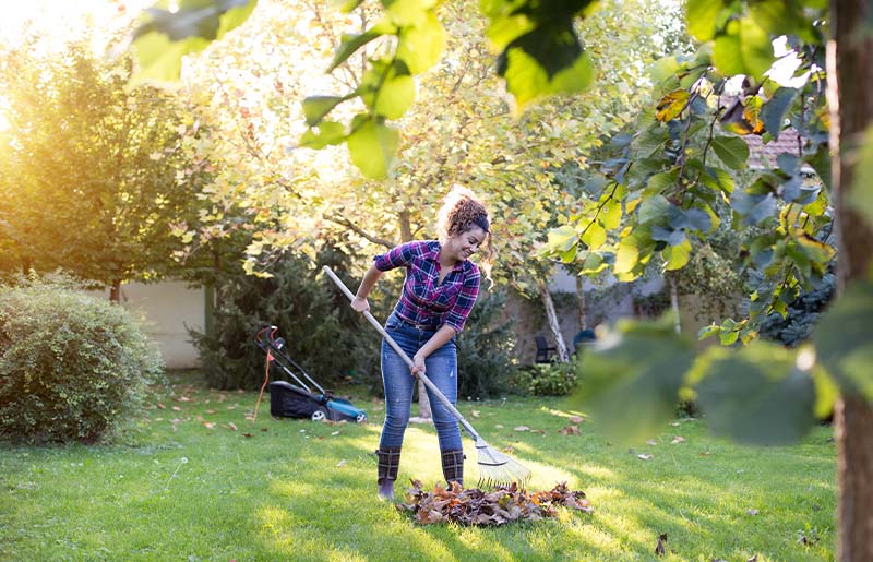 Gardening Corner: All About Cardinal Climbers and November Gardening Tips