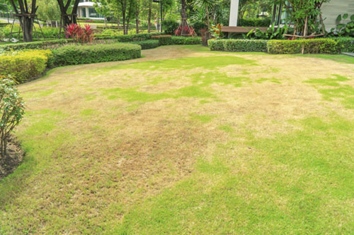 Taking Care of your Home and Lawn During a Drought
