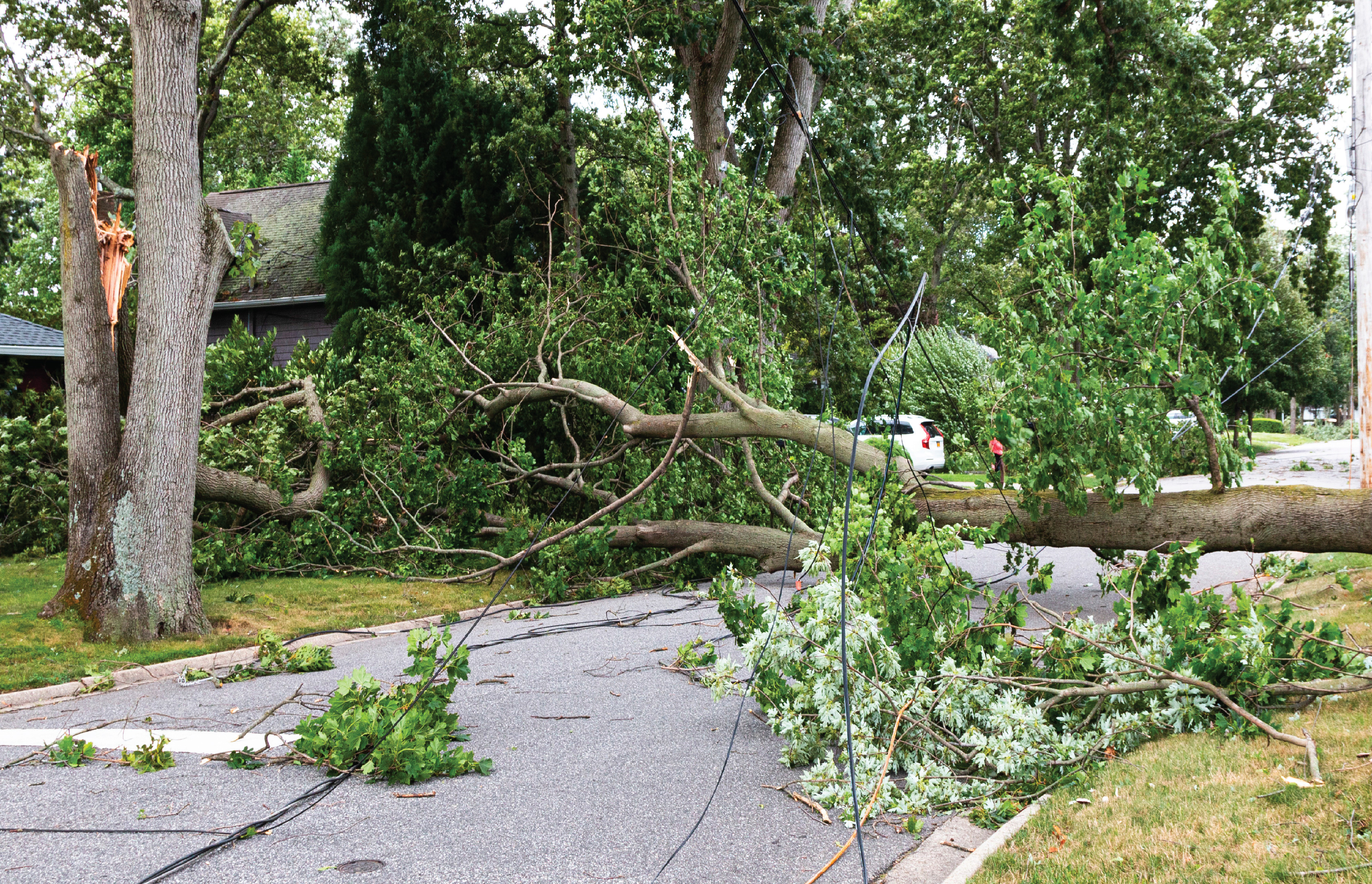 How to Report Storm Damage in Your Neighborhood