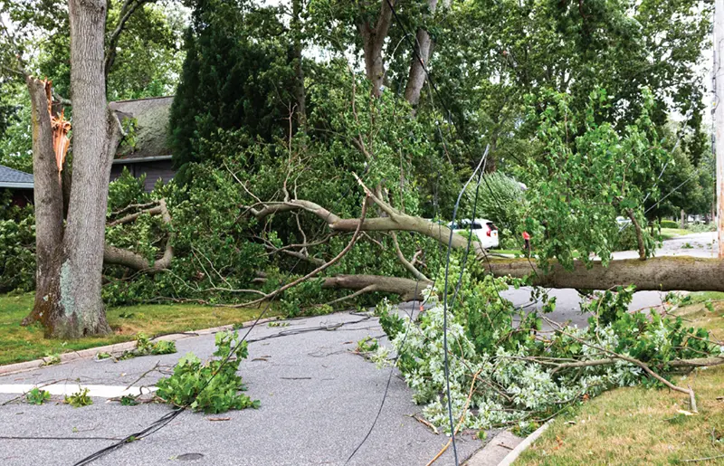 How to Request Storm Debris Pick Up in Your Neighborhood, Cooling Centers and More
