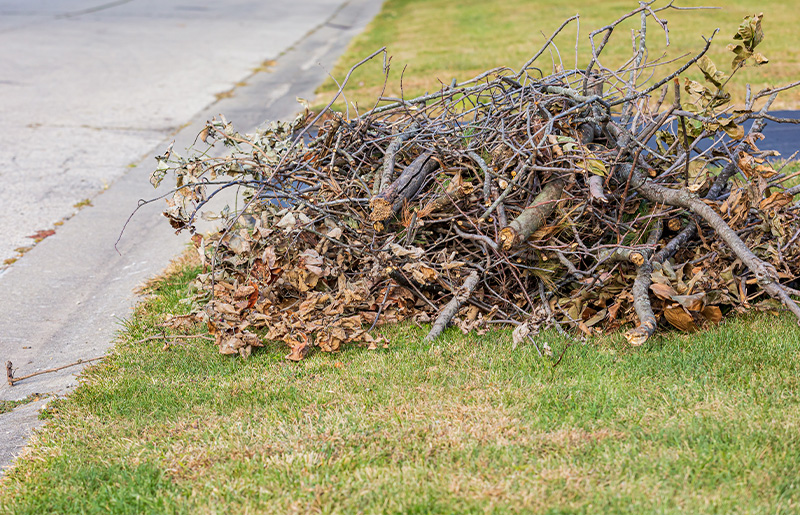 Fort Bend County Debris Pick Up Scheduled in Your Neighborhood on August 12