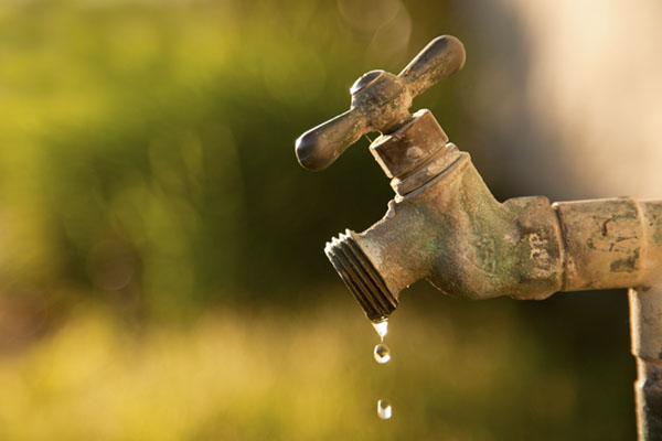 Conserving Water During Drought