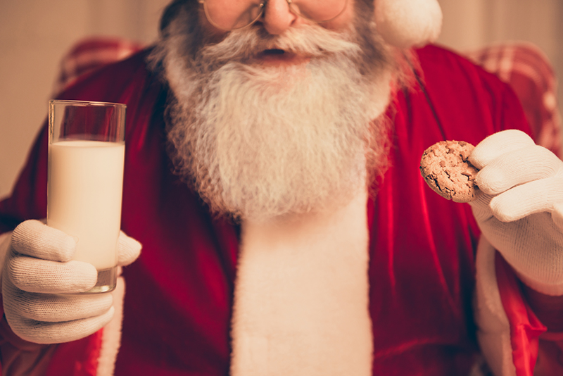 Save the Date: Christmas Cookies With Santa in Sydney Harbour