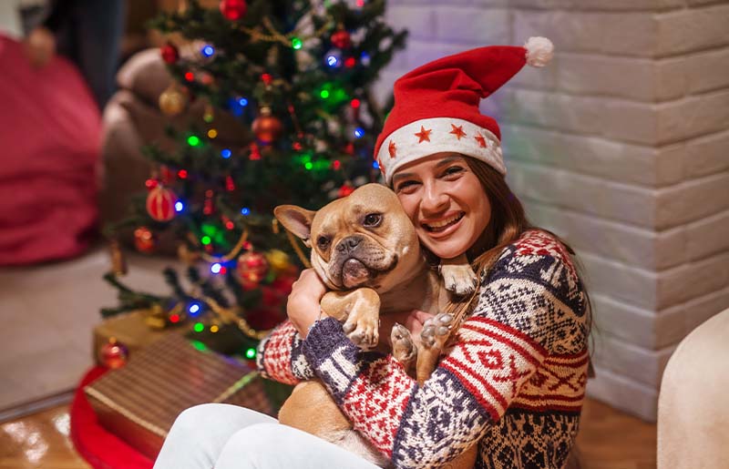 BARC Adoptions and Animal Shelter to Host Adoption Event on Christmas Eve