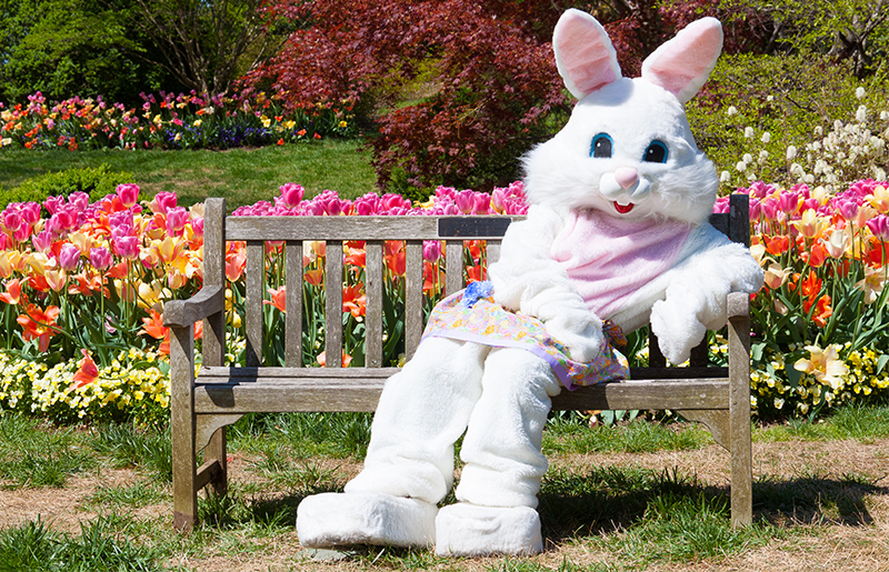 Easter Bunny Coming to Copper Lakes
