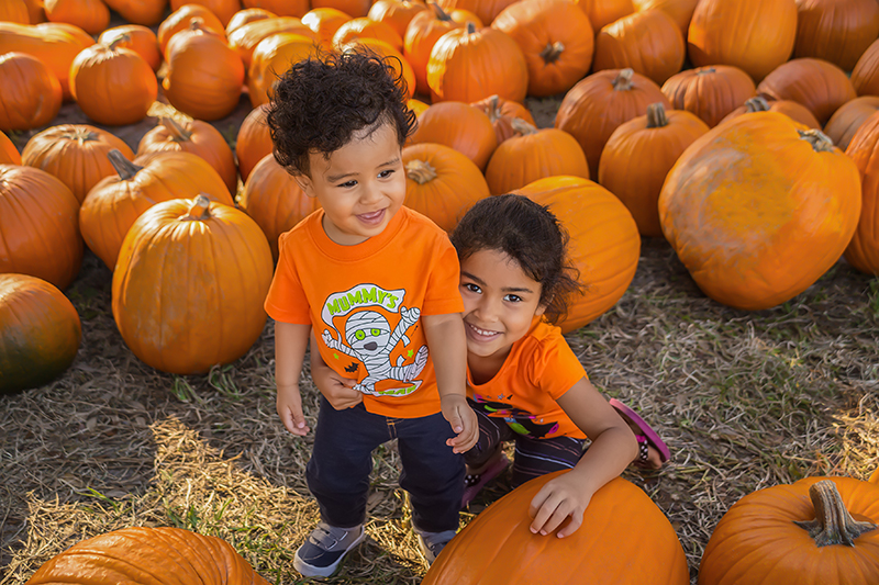 Discover the Best Fall Festivals and Pumpkin Patches in Katy for 2024