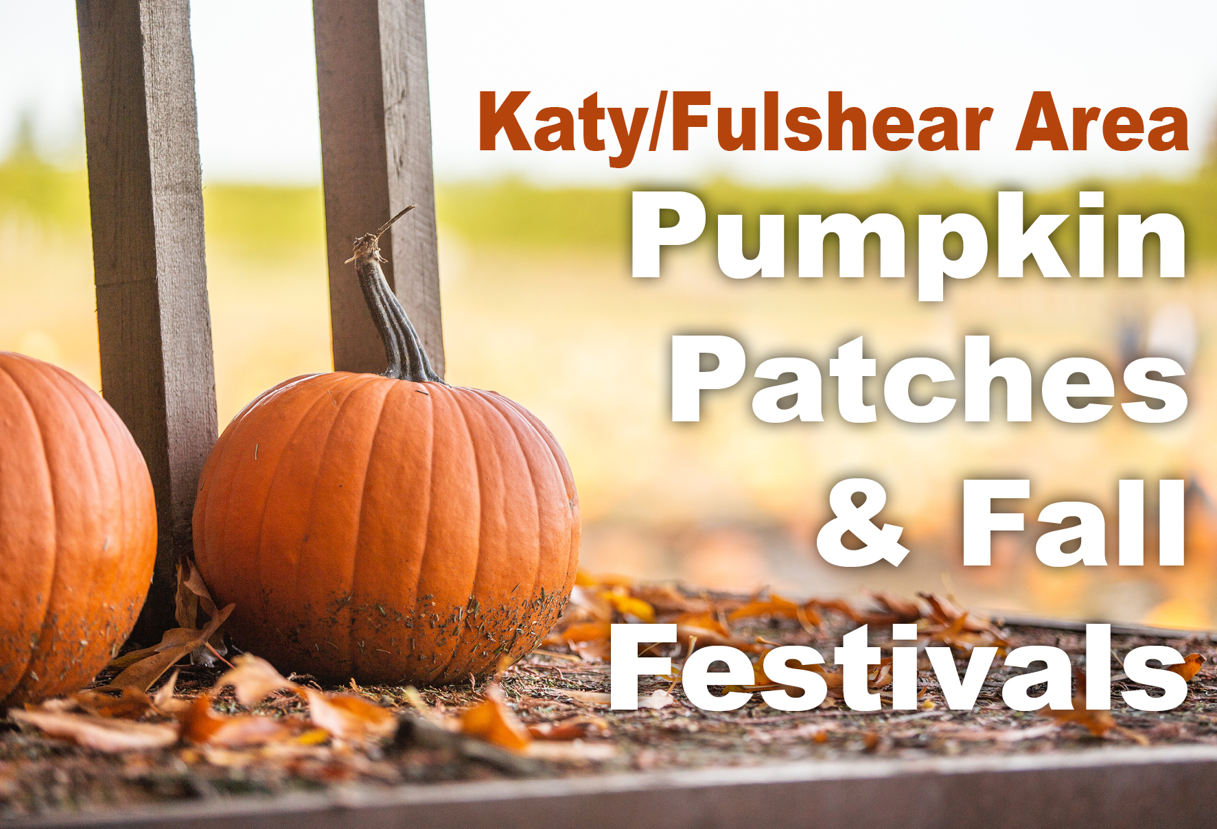 Pumpkin Patches & Fall Festivals