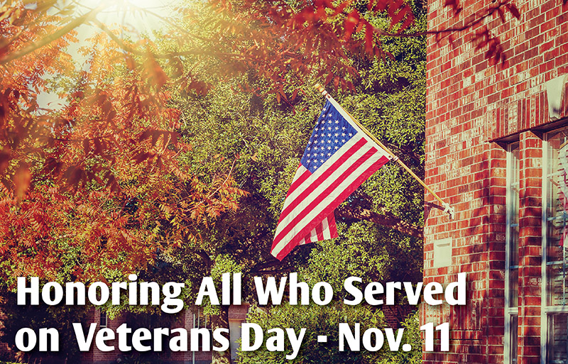 Veterans Day is November 11