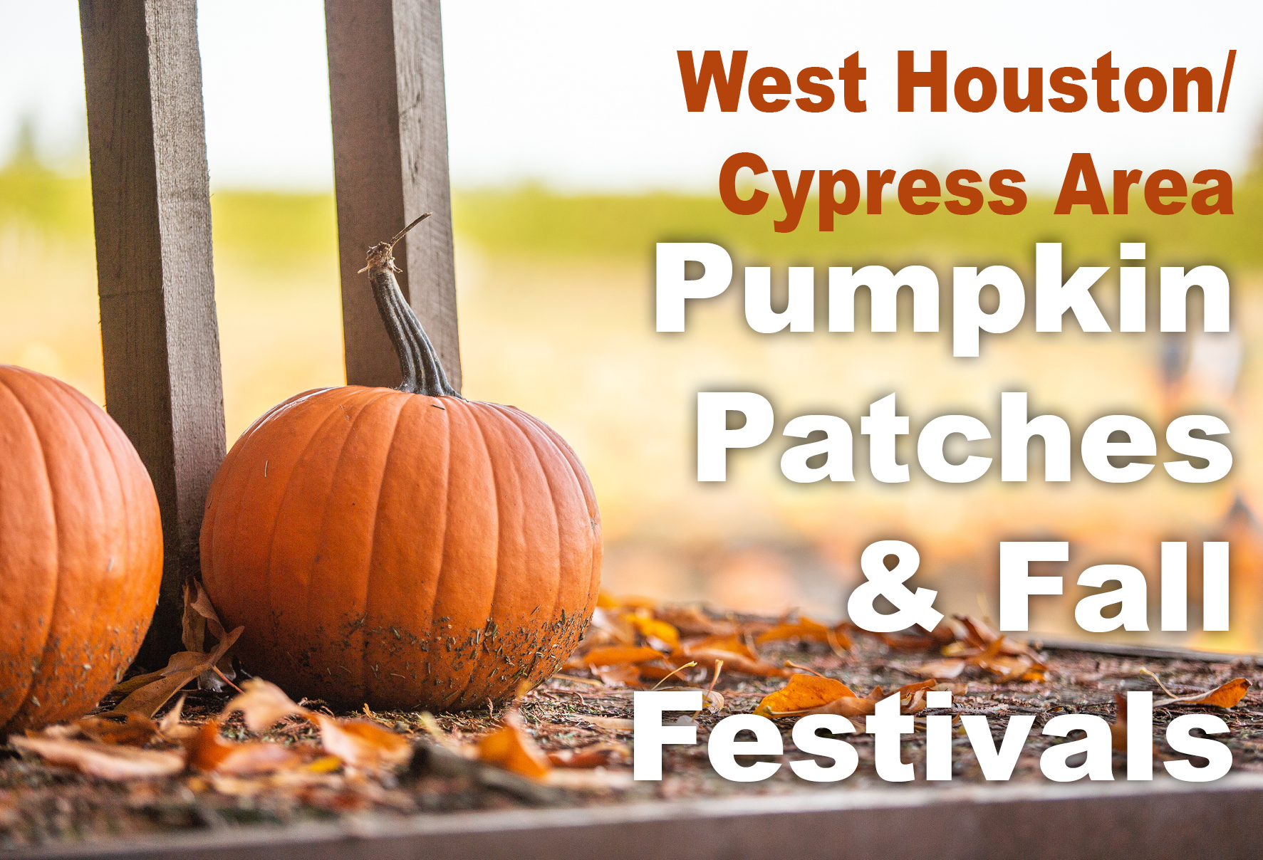 Pumpkin Patches & Fall Festivals