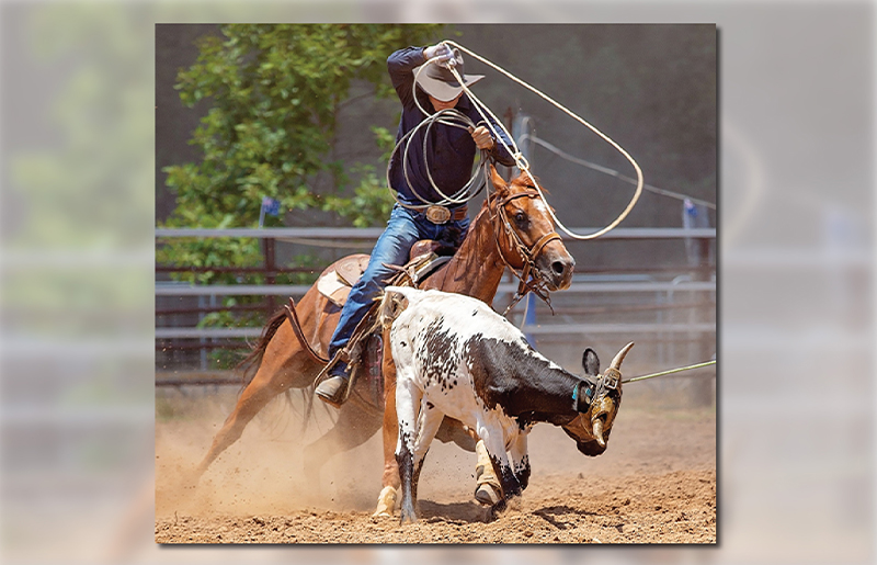 George Ranch to Celebrate 200 Years of History and Education with Rodeo Extravaganza on May 3-4