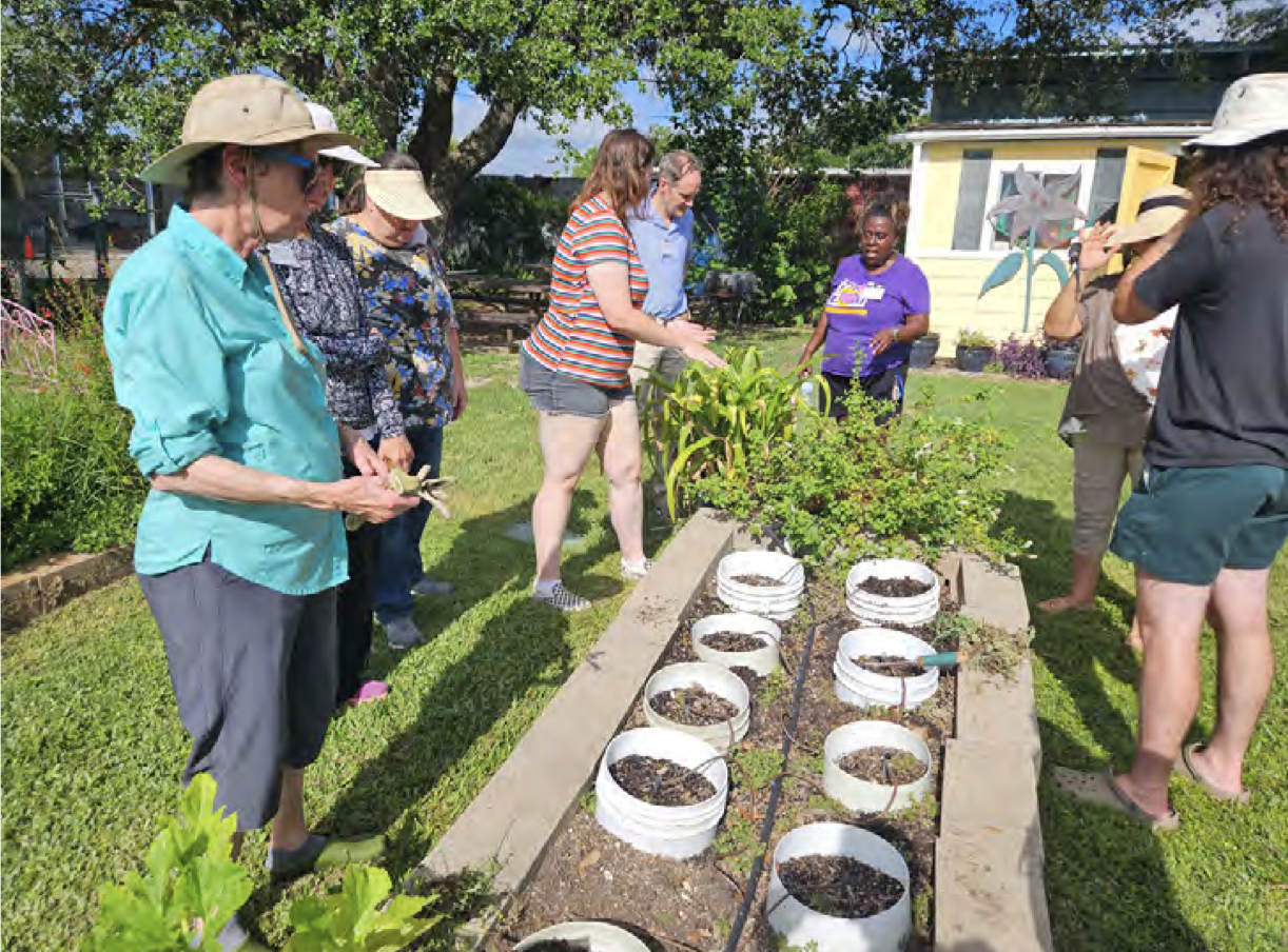 Learn How to Grow Roses, Shop Locally Grown Plants and More with Harris County Master Gardeners Next Month