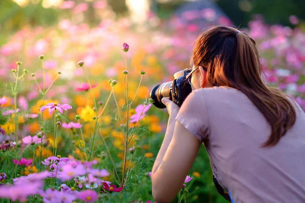Fort Bend County Libraries to Announce 2025 'We Are Fort Bend' Photo Contest Winners at Opening Day Reception