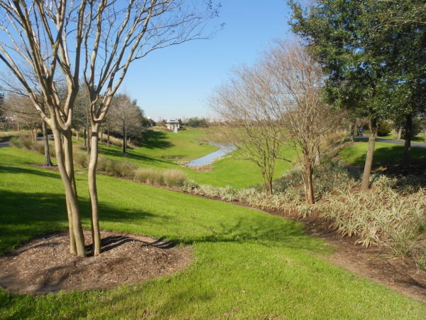 Discover Rick Rice Park: A Serene Oasis and Community Hub near Williamsburg Colony