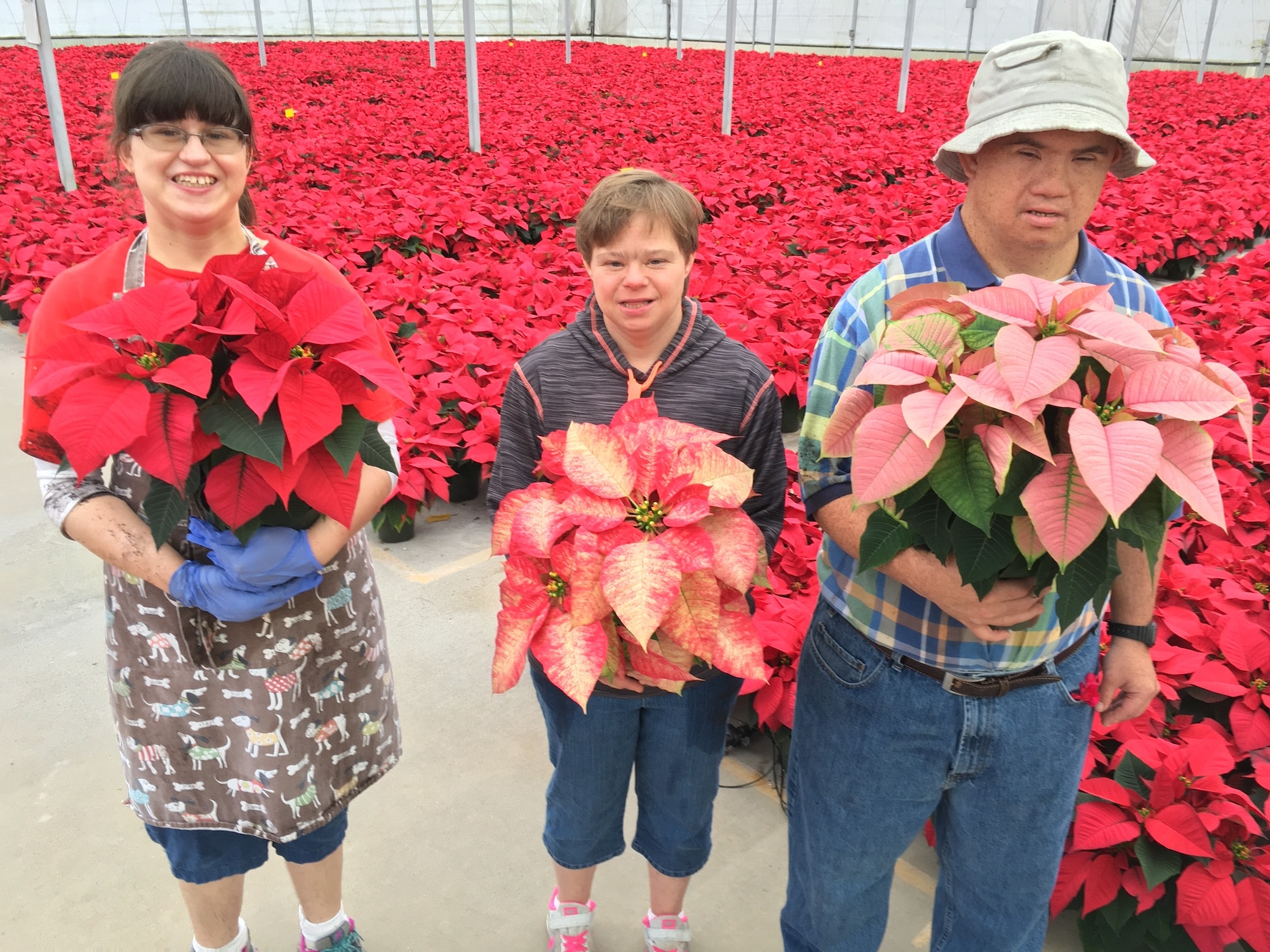 Celebrate National Poinsettia Day with Brookwood Community