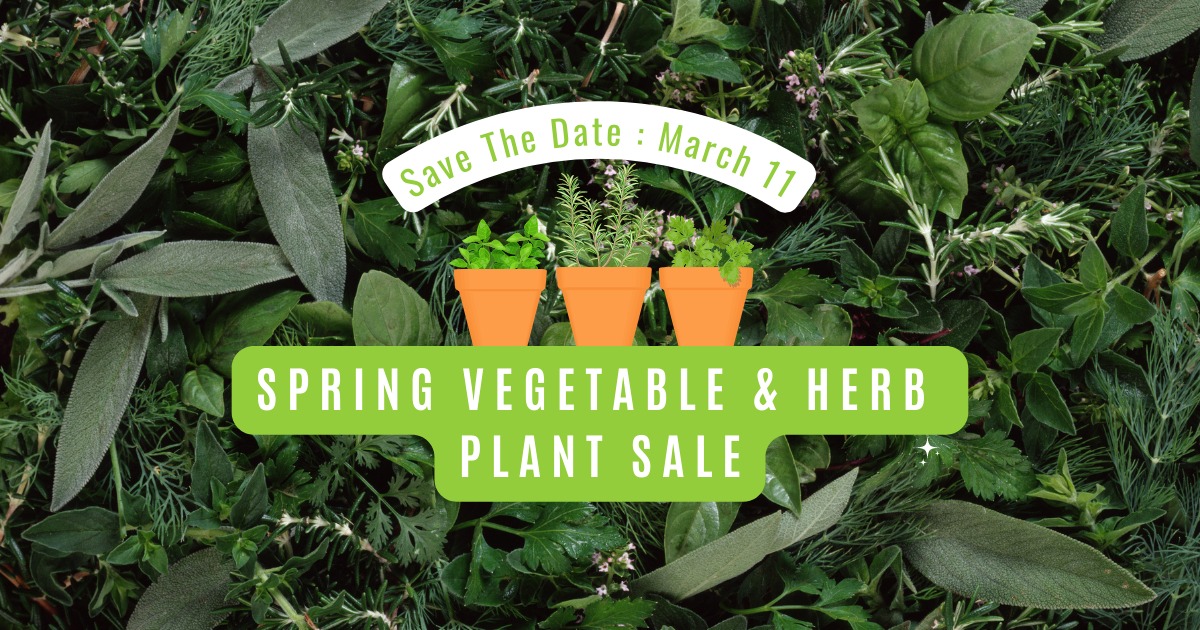 Fort Bend Master Gardeners' Vegetable and Herb Plant Sale Coming March 11