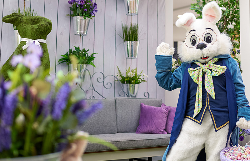 Experience Easter Magic at Katy Mills: Festive Fun, Bunny Photos, and Special Events for All