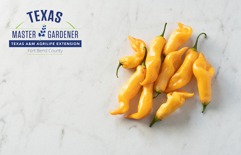 Master Gardener Sale Features New Peppers Plus Familiar Favorites