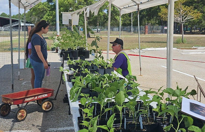 Harris County Master Gardeners Southeast Fruit Tree & Tomato Sale on February 15: Pre-Order Now for Best Selection