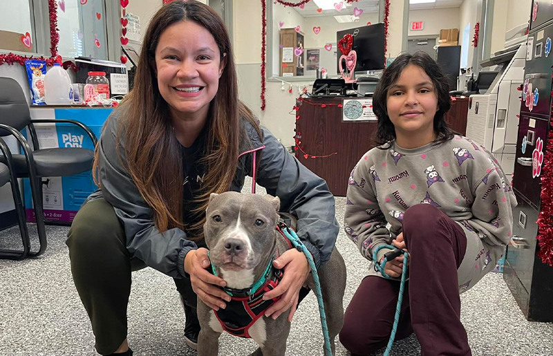 Fort Bend County Animal Shelter Continues to Grapple with Overcrowding Crisis – How You Can Help Save Homeless Pets