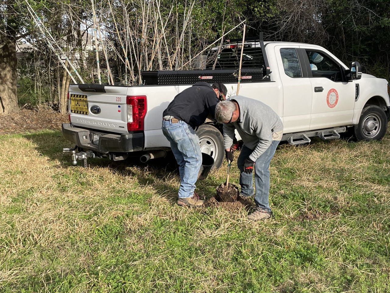 86 Oak Tree Saplings Planted by City of Katy Parks and Recreation Department