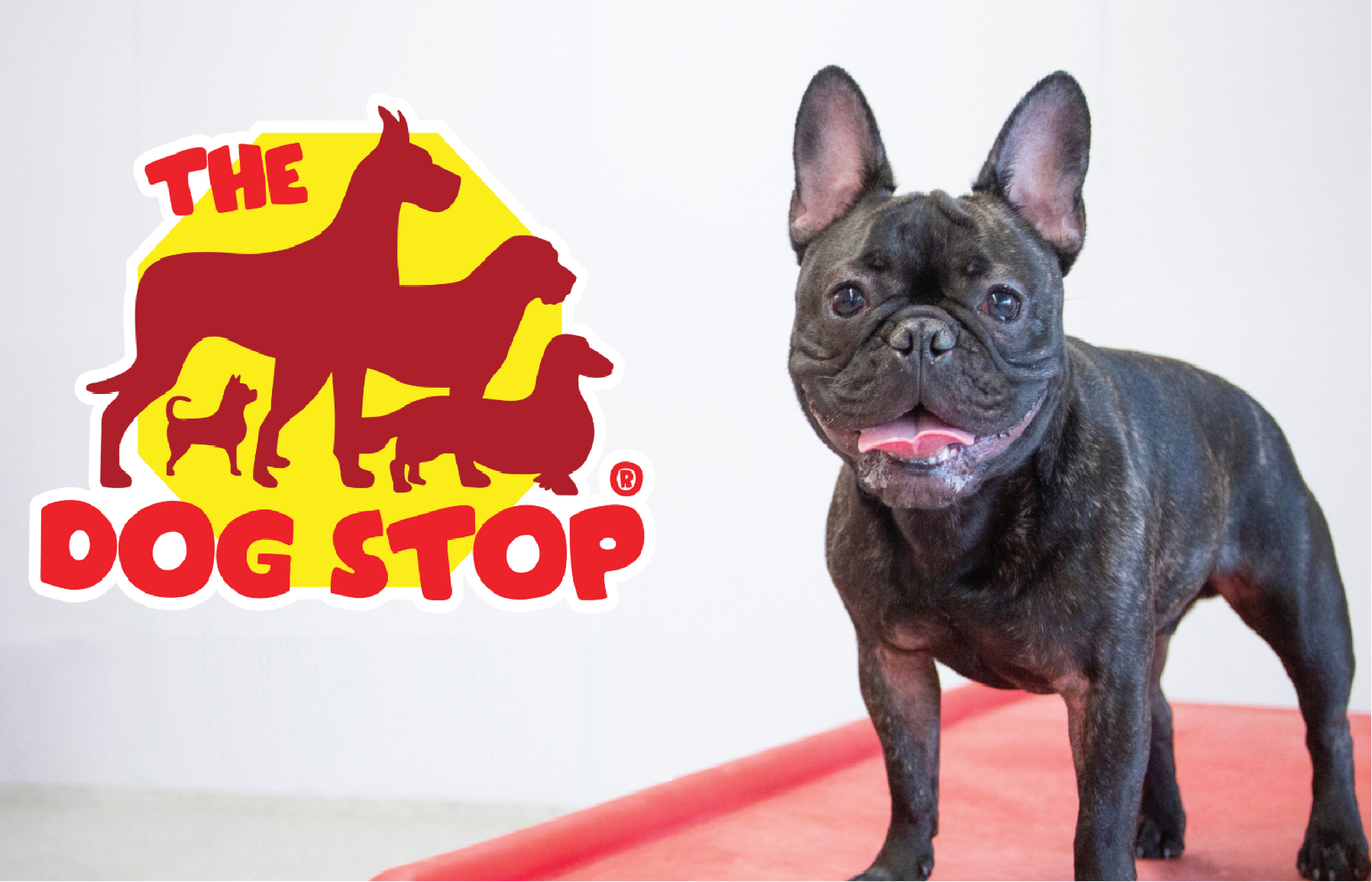 The Dog Stop Coming to Katy This Month