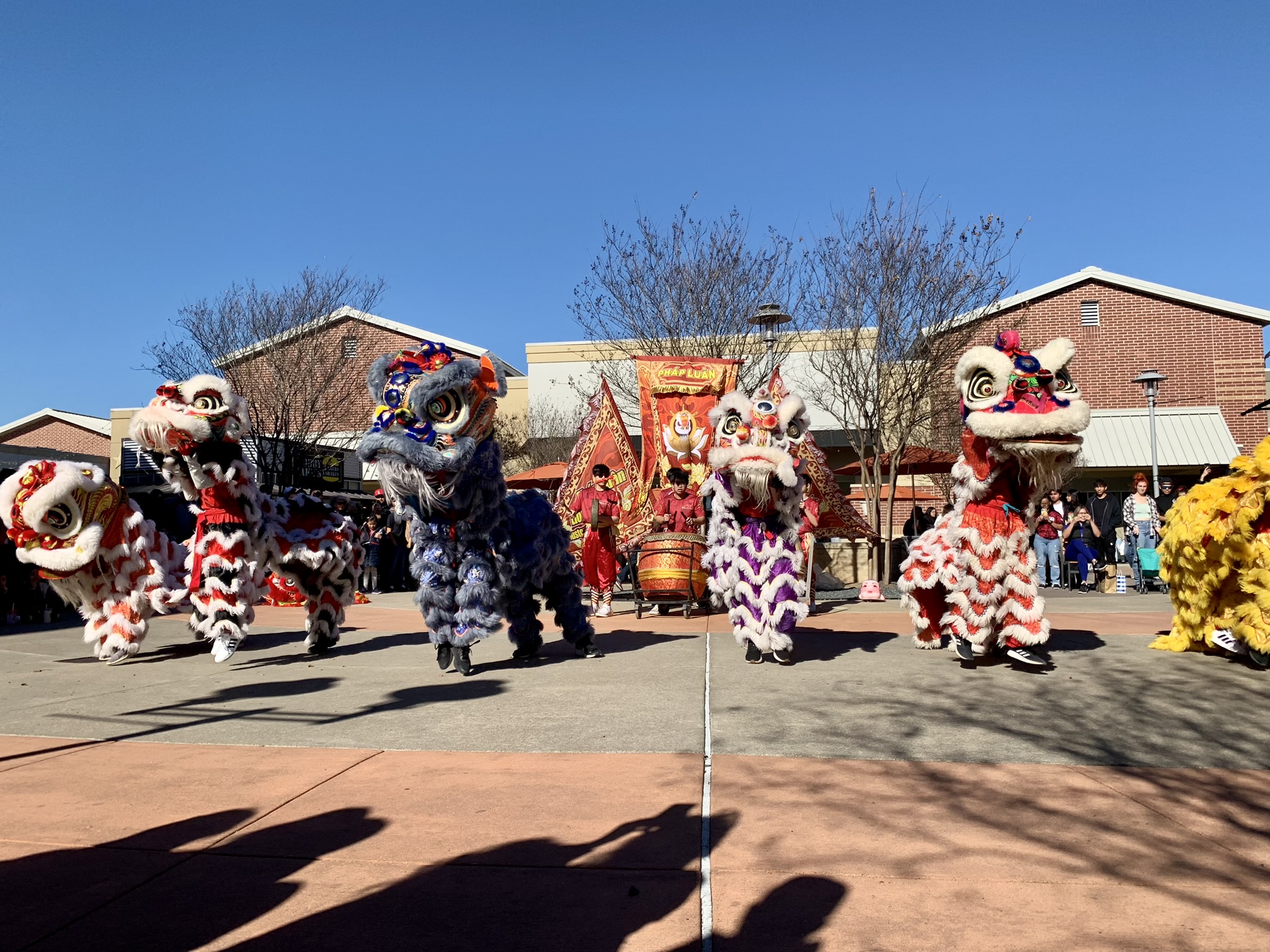 Where to Celebrate Lunar New Year in Cypress and Cy-Fair: Festivities, Traditions, and More