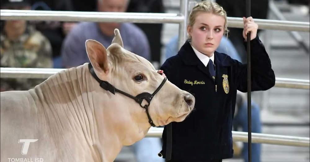 Tomball ISD FFA Students Shine at 49th Annual Project Show and Sale