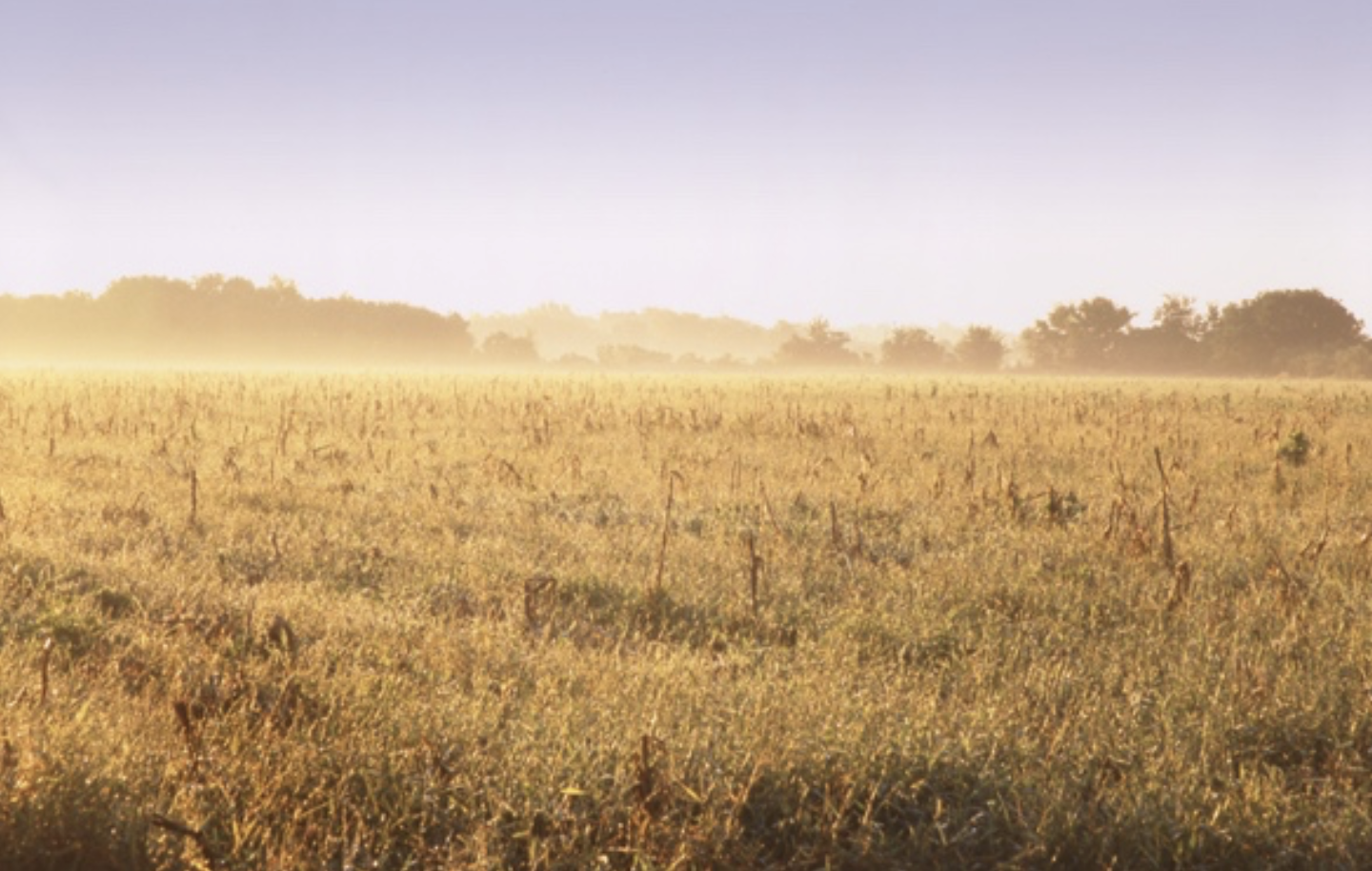 Coastal Prairie Conservancy Protects 1,329 Acres of Critical Texas Land, Expanding Katy Prairie Preserve