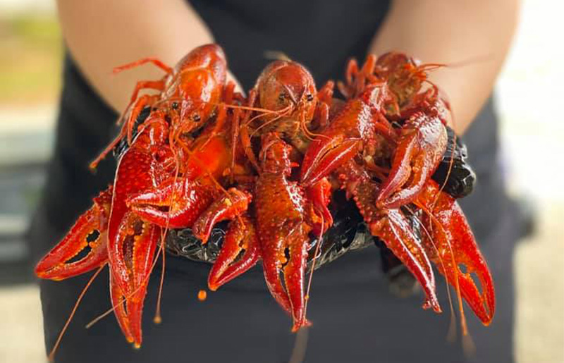 Hans Crawfish Brings Award-Winning Crawfish to The Barn in Cypress