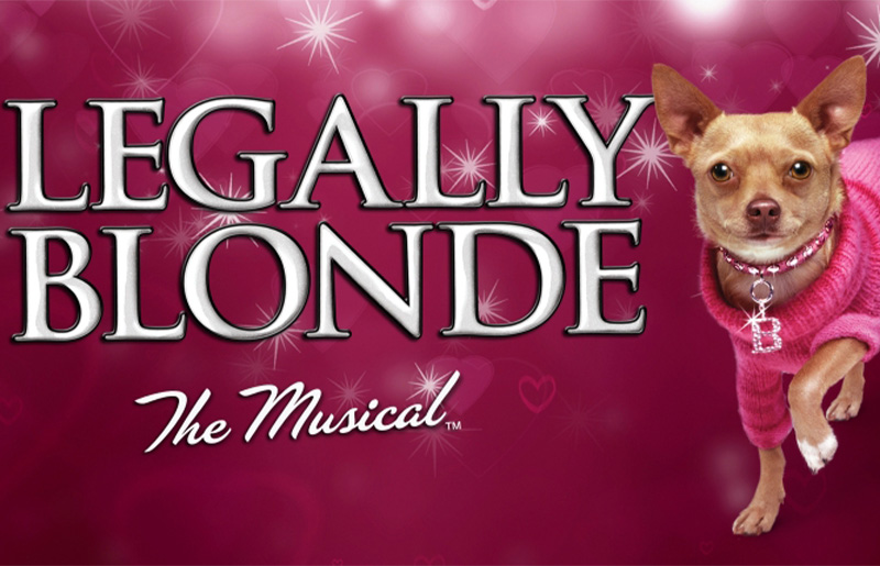 Cy Woods Theatre Company Presents Legally Blonde the Musical – A Fun-Filled Broadway Hit