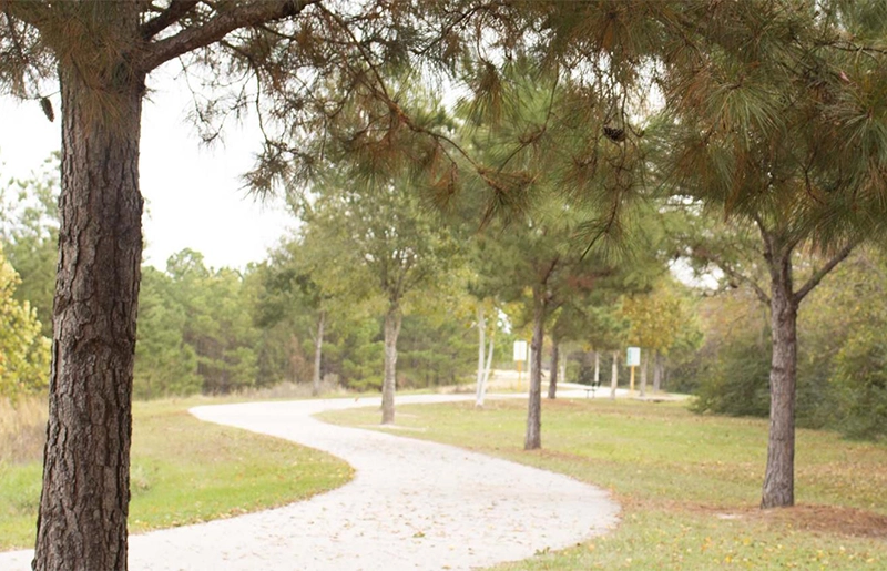 Explore the Mason Creek Park North Hike and Bike Trail in Katy