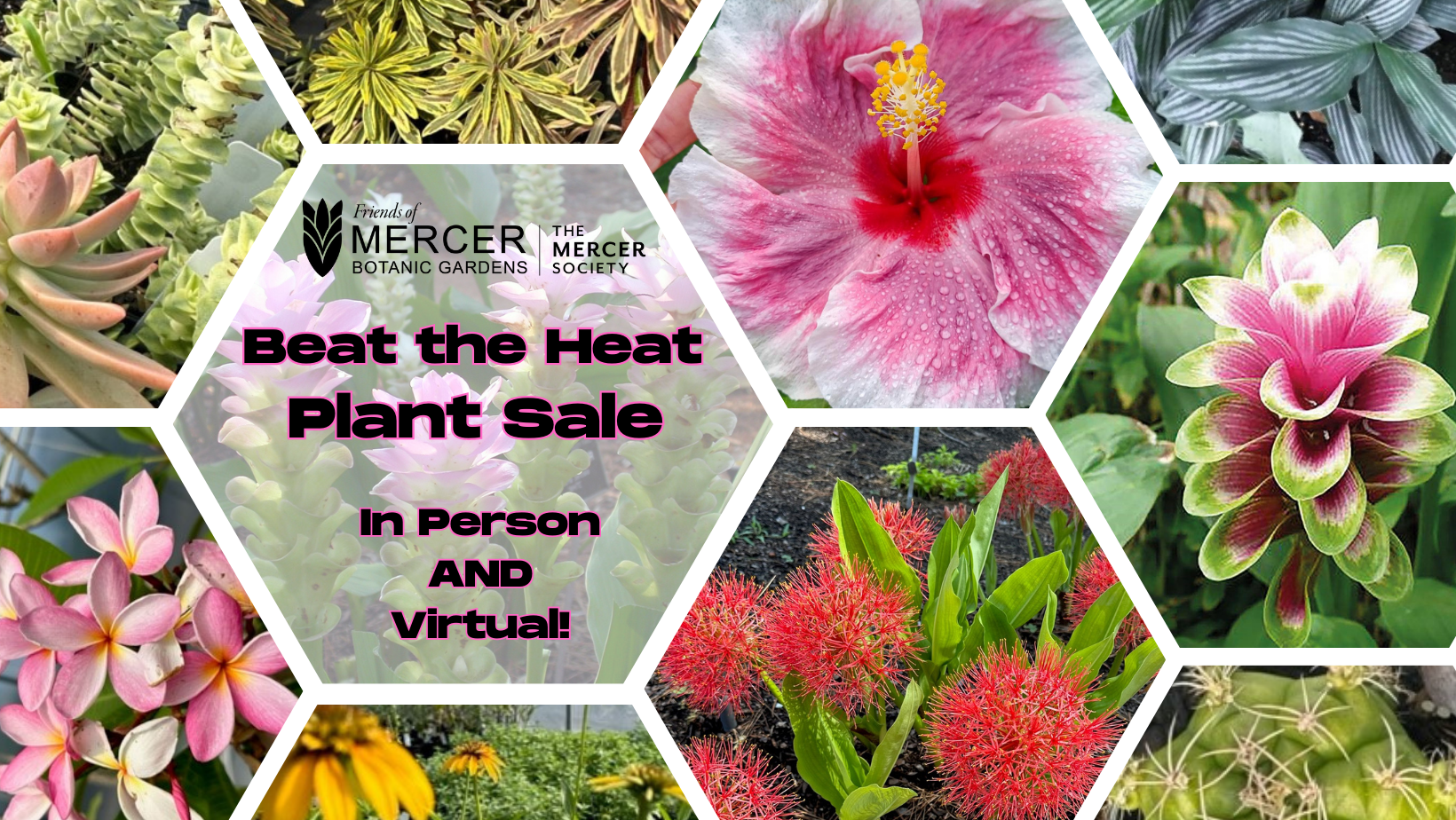 Mercer Botanic Gardens to Host Beat the Heat Plant Sale